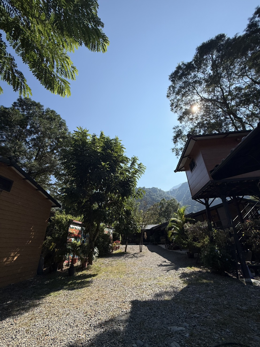陽光灑落的小木屋園區步道