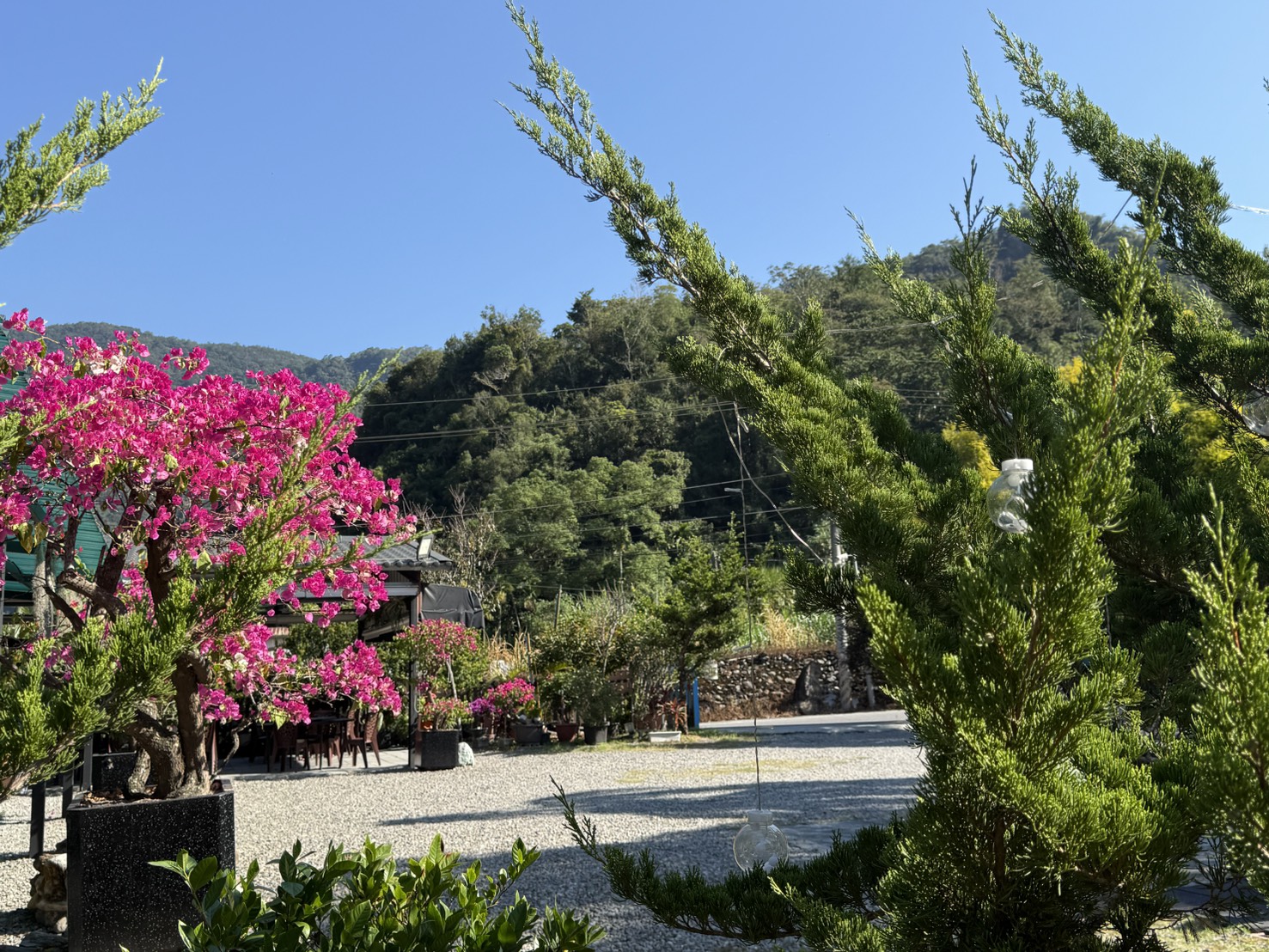 藍天下的園區花園與遠山
